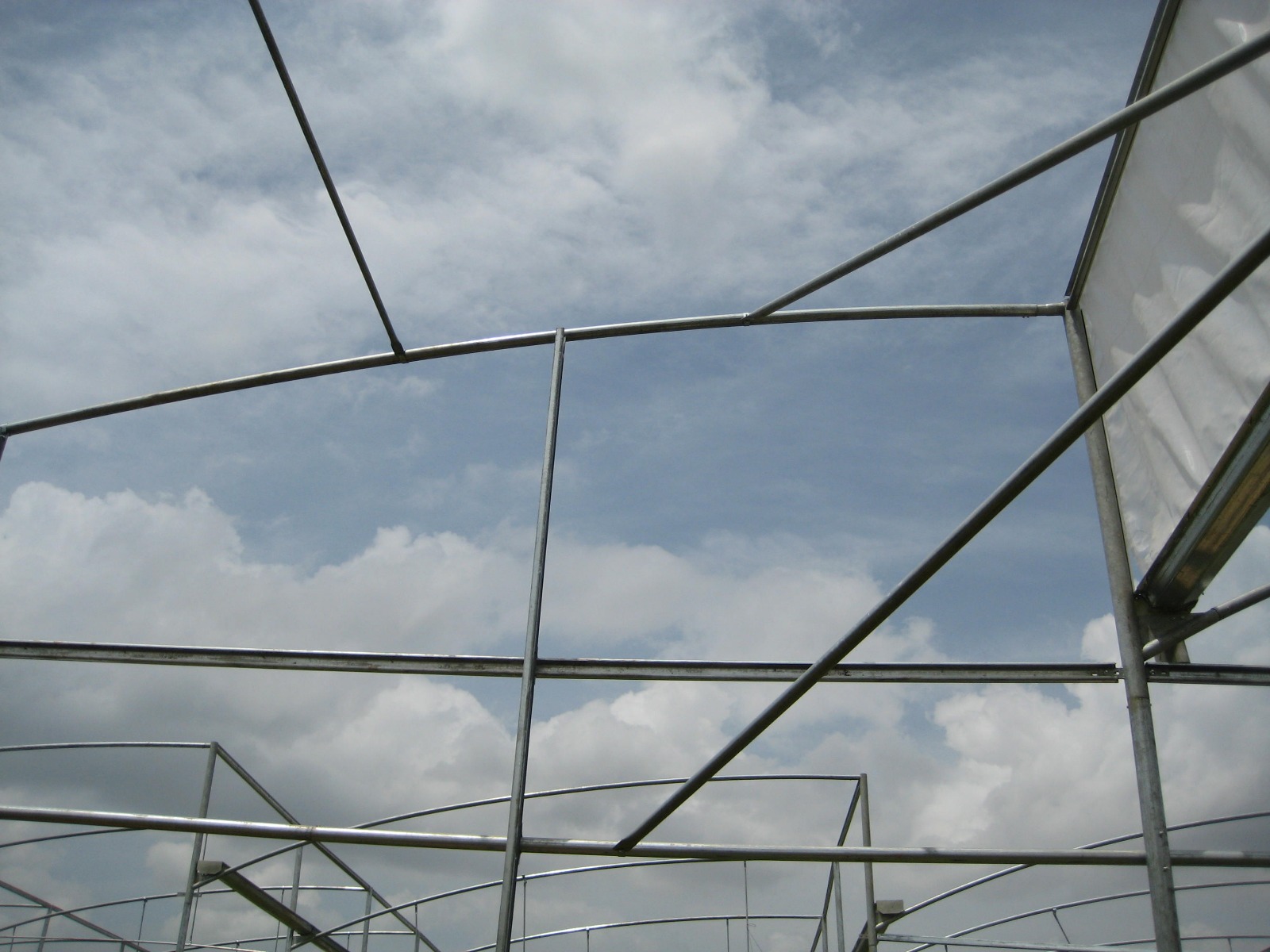 Greenhouse Project 28